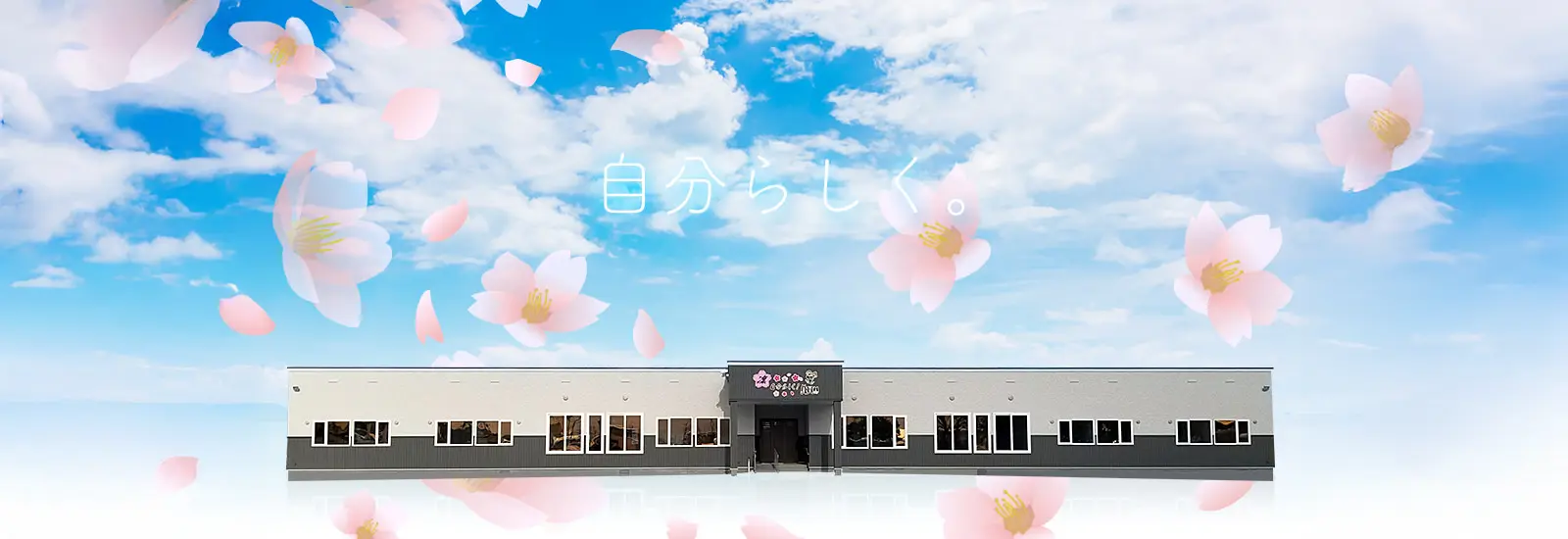 home_mv